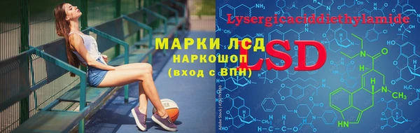 стаф Баксан