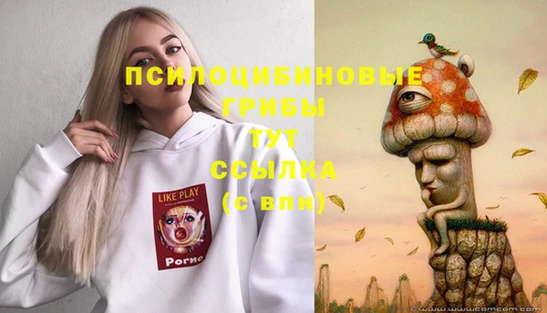 стаф Баксан