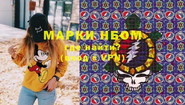 ГАЛЛЮЦИНОГЕННЫЕ ГРИБЫ Аркадак