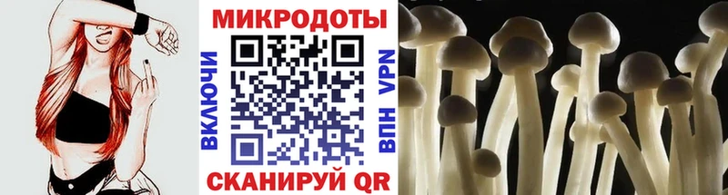 Галлюциногенные грибы Magic Shrooms  где продают наркотики  Курчатов 