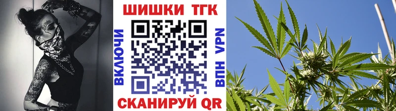 где купить   Курчатов  Бошки Шишки план 